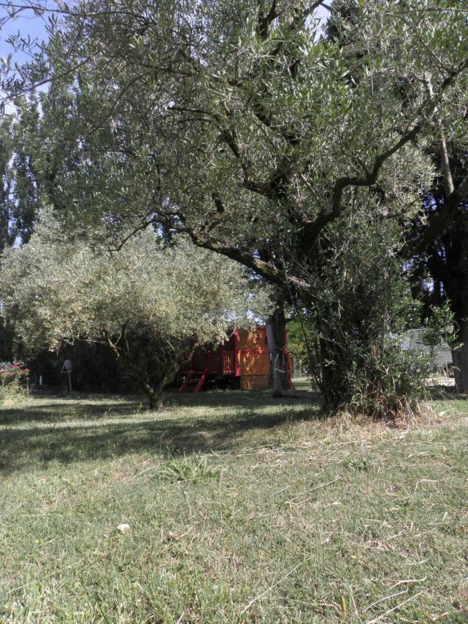 Campsite Provence Roulottes