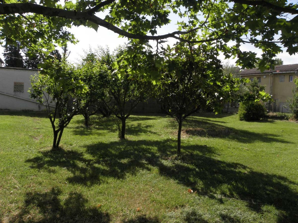 Campsite Provence Roulottes